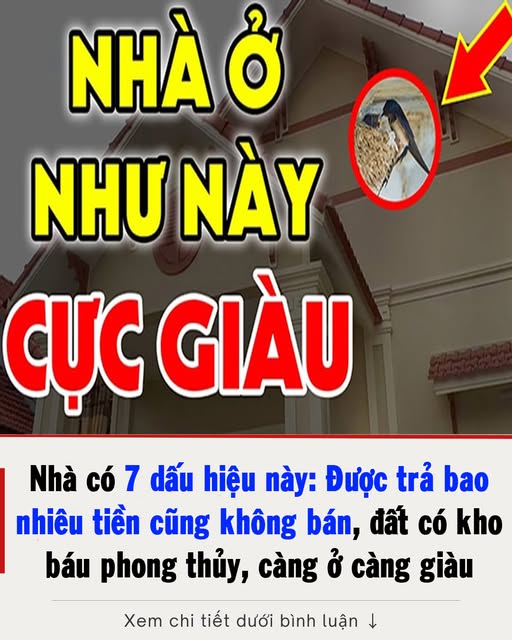 Nhà có 7 dấu hiệu này: Được trả bao nhiêu tiền cũng không bán, đất có kho báu phong thủy, càng ở càng giàu